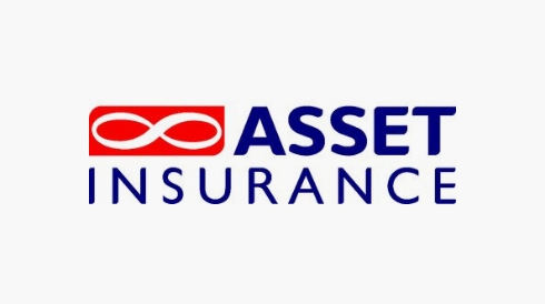 Asset Insurance